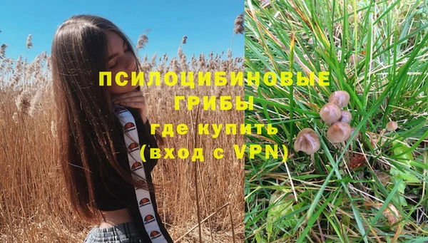 прущая мука Верхний Тагил