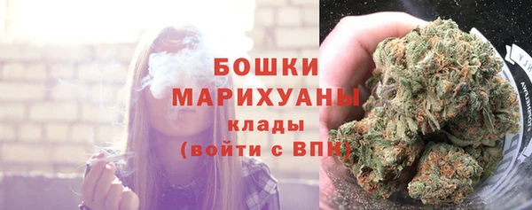 амф Верея