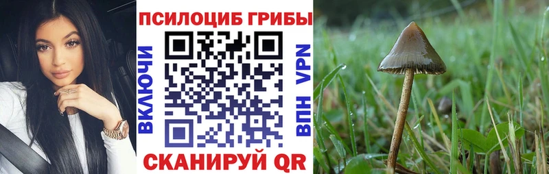 Галлюциногенные грибы Magic Shrooms дарк нет состав Гвардейск продажа наркотиков